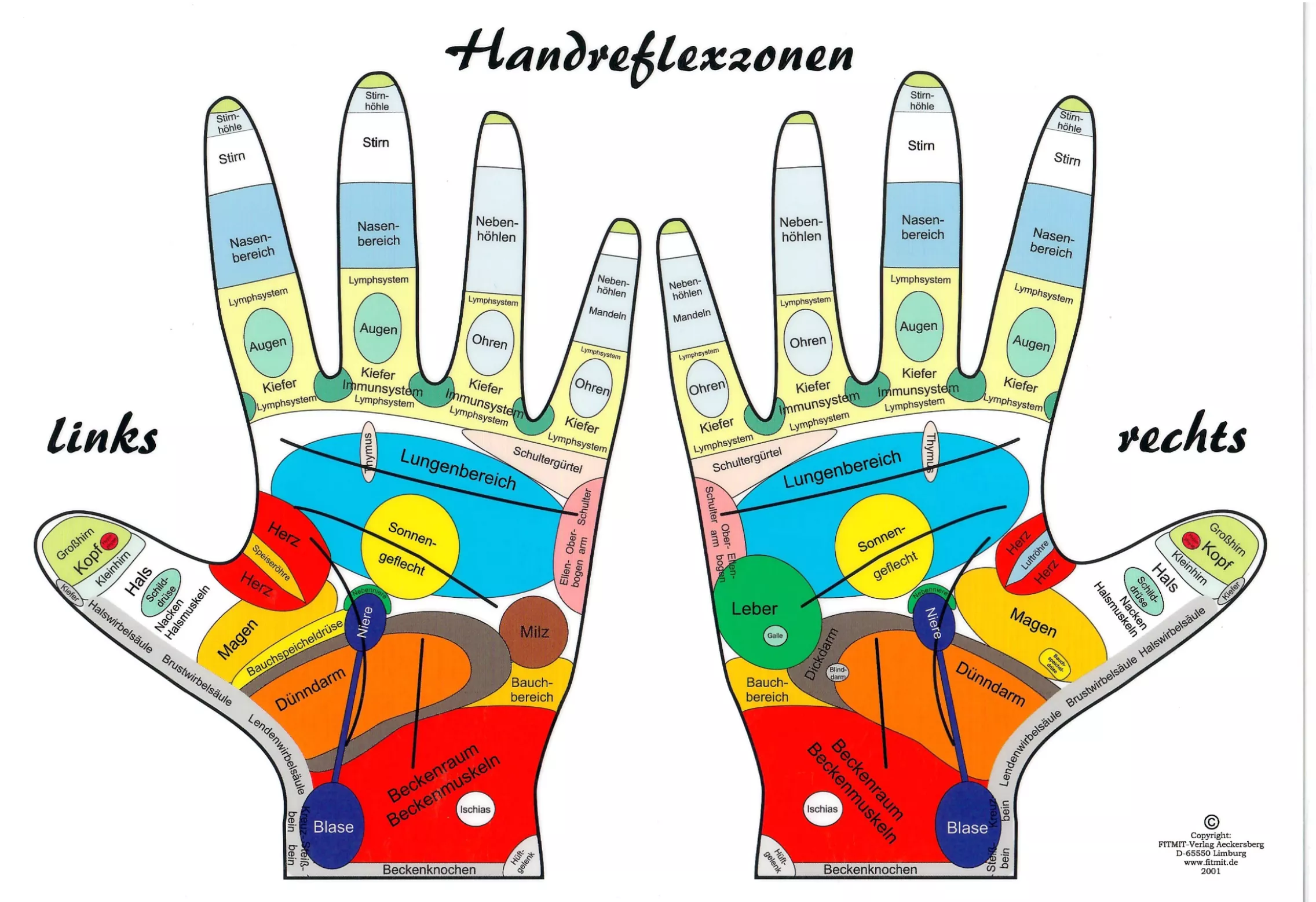 Handreflexzonen Handreflexzonen