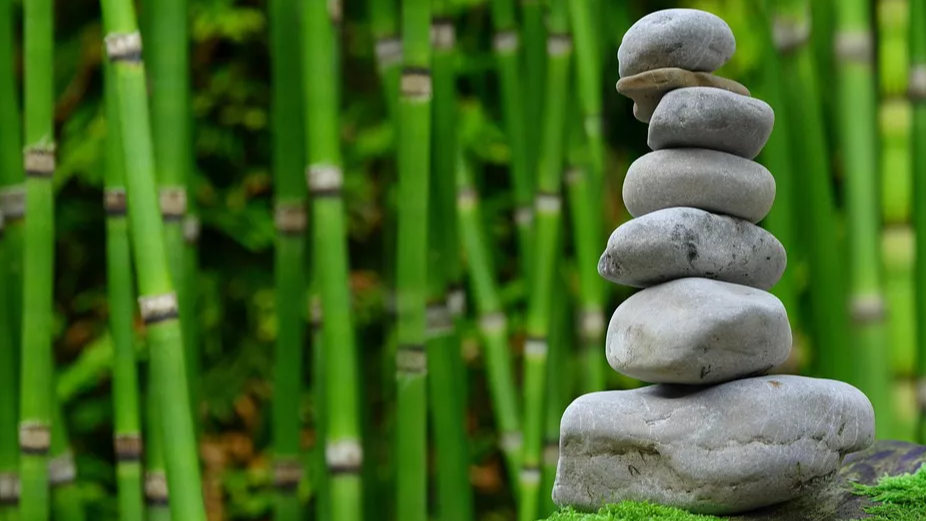 Meditation Meditation